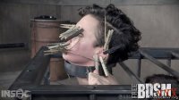 [RealTimeBondage.com] Bonnie Day (Useless Brat Part 1 / 20.05.2017) [2017 , BDSM, Torture, Humiliation, 720p, HDRip]