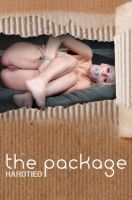 The Package - Kenzie Taylor [2017,HT,humiliation,Spanking,Canning][Eng]