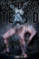 StressTess'd [2017,HardTied,Tess Dagger,BDSM,Humiliation,Bondage][Eng]