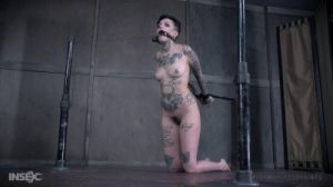 gay and girl [2017,gay,BDSM,Humiliation,Torture][Eng]