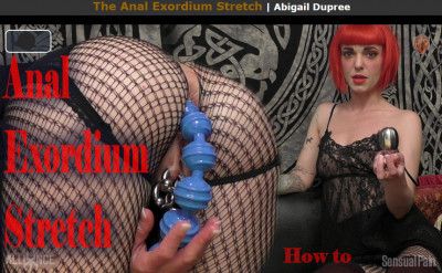 Sensualpain The Anal Exordium Stretch [2018,Sensualpain,Abigail Dupree,Clit Vibrator,Sensualpain,Steel Restraints][Eng]