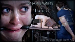 Chained and Tamed - Dixon Mason, PD, Jack Hammer [2014,Spanking,BDSM,Torture][Eng]