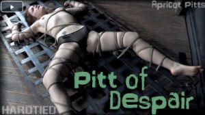 HdT - Apricot Pitts - Pitt of Despair [2018,BDSM,Humiliation,Whipping][Eng]