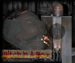 Bitch in a Box - Wenona [Spanking,Domination,Submission][Eng]
