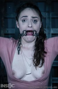Luci Lovett - The Orifice Part 2 (2019) [2019,Luci Lovett,BDSM][Eng]