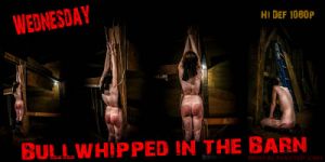 Wednesday - Bullwhipped in the Barn [Humiliation,Torture,BDSM][Eng]