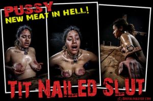 Pussy - Tit Nailed Slut [Elektro,BDSM,Extreme Tit+Pussy+Ass Torture][Eng]