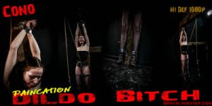 Cono - Paincation Dildo Bitch [BDSM,Medical][Eng]
