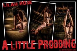 Lilah Rose - A Little Prodding [Medical,Needle Pain,Extreme Tit+Pussy+Ass Torture][Eng]