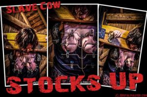 Cow - Stocks Up [Needle Pain,Extreme Tit+Pussy+Ass Torture][Eng]
