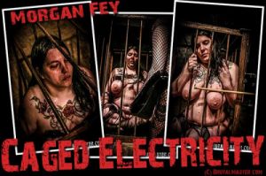 Morgan Fey - Caged Electricity [Torture,Humiliation,BDSM][Eng]
