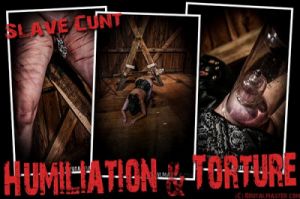 Slave Cunt - Humiliation and Torture [Bondage,Torture,BDSM][Eng]