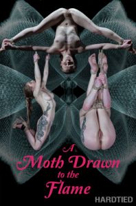A Moth Drawn To The Flame [2018,HardTied,Cora Moth,Toys,Bondage,Torture][Eng]