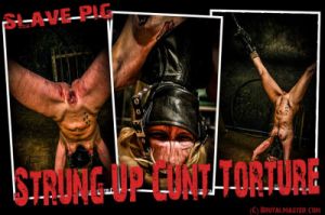 Pig - Strung Up Cunt Torture [BDSM,Extreme Tit+Pussy+Ass Torture][Eng]