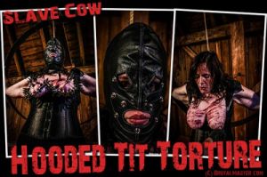 Cow - Hooded Tit Torture [Extreme Tit Torture,BDSM][Eng]