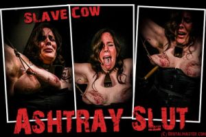 Cow - Ashtray Slut [,BDSM,Extreme Tit Torture][Eng]
