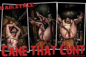 Harley - Cane That Cunt [BDSM,Bondage,Torture][Eng]
