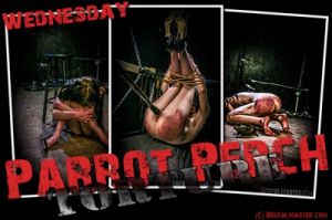 Wednesday - Parrot Perch Torture [Torture,Bondage,BDSM][Eng]