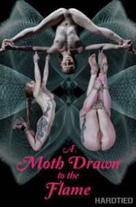 A Moth Drawn To The Flame Cora Moth [2019,BDSM,Bondage,Rope][Eng]