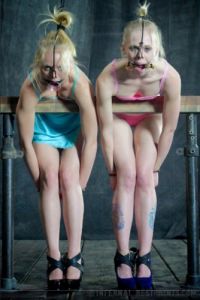Flesh Circus  - Sarah Jane Ceylon [2013,Domination,BDSM,Submission][Eng]