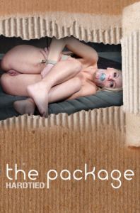 The Package - Kenzie Taylor [2019,HardTied,Cool Girl,Torture,Rope Bondage,Extreme Bondage][Eng]