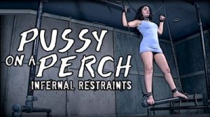 IR  - Pussy on a Perch [2017,Torture,Domination,Rope Bondage][Eng]