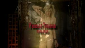 Painslut Training [2018,SensualPain,River Enza | Goddess Kyaa | Master James,Domination,Female On Shemale,BDSM][Eng]
