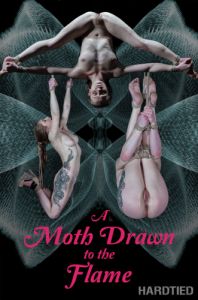 A Moth Drawn To The Flame [Humiliation,Toys,BDSM][Eng]