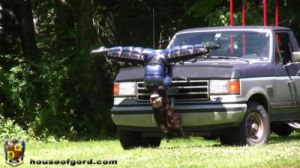 Split Pussy Hood Ornament [2011,House of Gord,Wildflower,high definition,electrical,penetration][Eng]