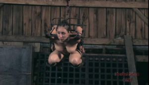 Bondage Pig Part Two [Eng]