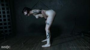 Domestic Disturbance - Ava D'Amore [2019,BDSM,Bondage,torture][Eng]