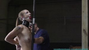 Illustrious Rouge Collared, Gagged, Spanked, Whipped [BDSM,Rope,torture][Eng]