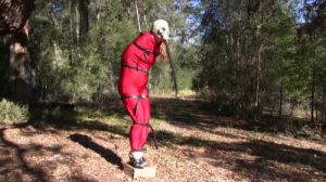 Wrapped, Strapped, Masked In the Woods [2019,BDSM,Rope,torture][Eng]