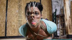 Alexis Rain [2017, Bondage,Humiliation,Bdsm][Eng]