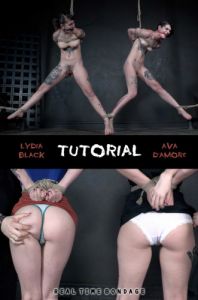 Tutorial [2019,Ava D'Amore,Whipping,BDSM,Torture][Eng]