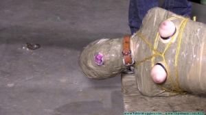 Diamondly Captured Mummified for Shipping [Eng]