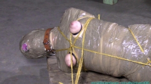 Diamondly Captured, Mummified for Shipping - Part 4 [2020, hogtied, mummification, nipple clamps][Eng]