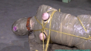 Diamondly Captured, Mummified for Shipping [2020, nipple clamps, mummification, taped hands][Eng]