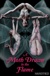 A Moth Drawn To The Flame [Toys,Humiliation,Torture][Eng]