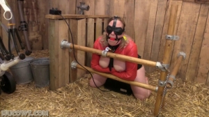 Sybian and goat milker [HuCow 3,bondage,breast training machine,ball ga][Eng]
