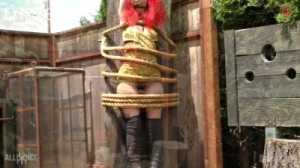 Abigail Dupree - Captured Firecracker Redhead (2020) [2020,Abigail Dupree,BDSM][Eng]