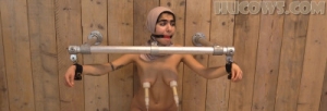 Aisha – Persian HuCow [HuCows,Aisha,ball gag,breast training machine,bondage][Eng]