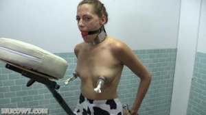 Britney – massage chair udder pump [HuCows,Britney,bondage,milk machine,ball gag][Eng]