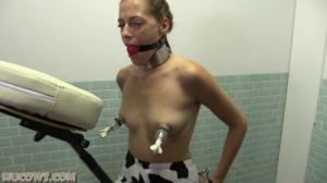 Britney Massage Chair Udder Pump [2015,HuCows,Britney,bondage,ball gag,milk machine][Eng]