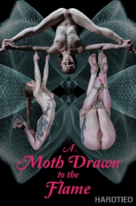 A Moth Drawn To The Flame [Bondage,BDSM,Toys][Eng]