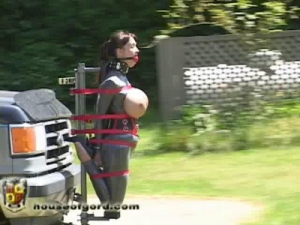 Headlamps [Eng]