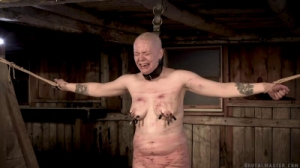 Welcome to hell - Nothing Beaten To Oblivion [2019][Eng]