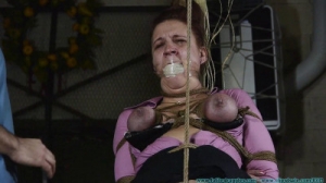 Brend acrotch roped part 2 [Eng]