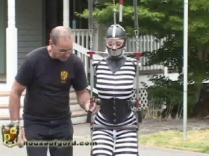 Darling and the Electrified Butt Thruster [Eng]