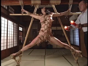 Art Video Part 311 [2017,Bdsm][Eng]